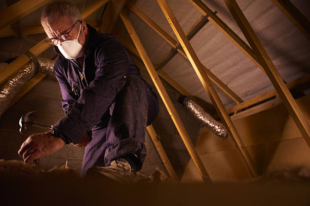 Best Insulation Maintenance and Repair in Robesonia, PA